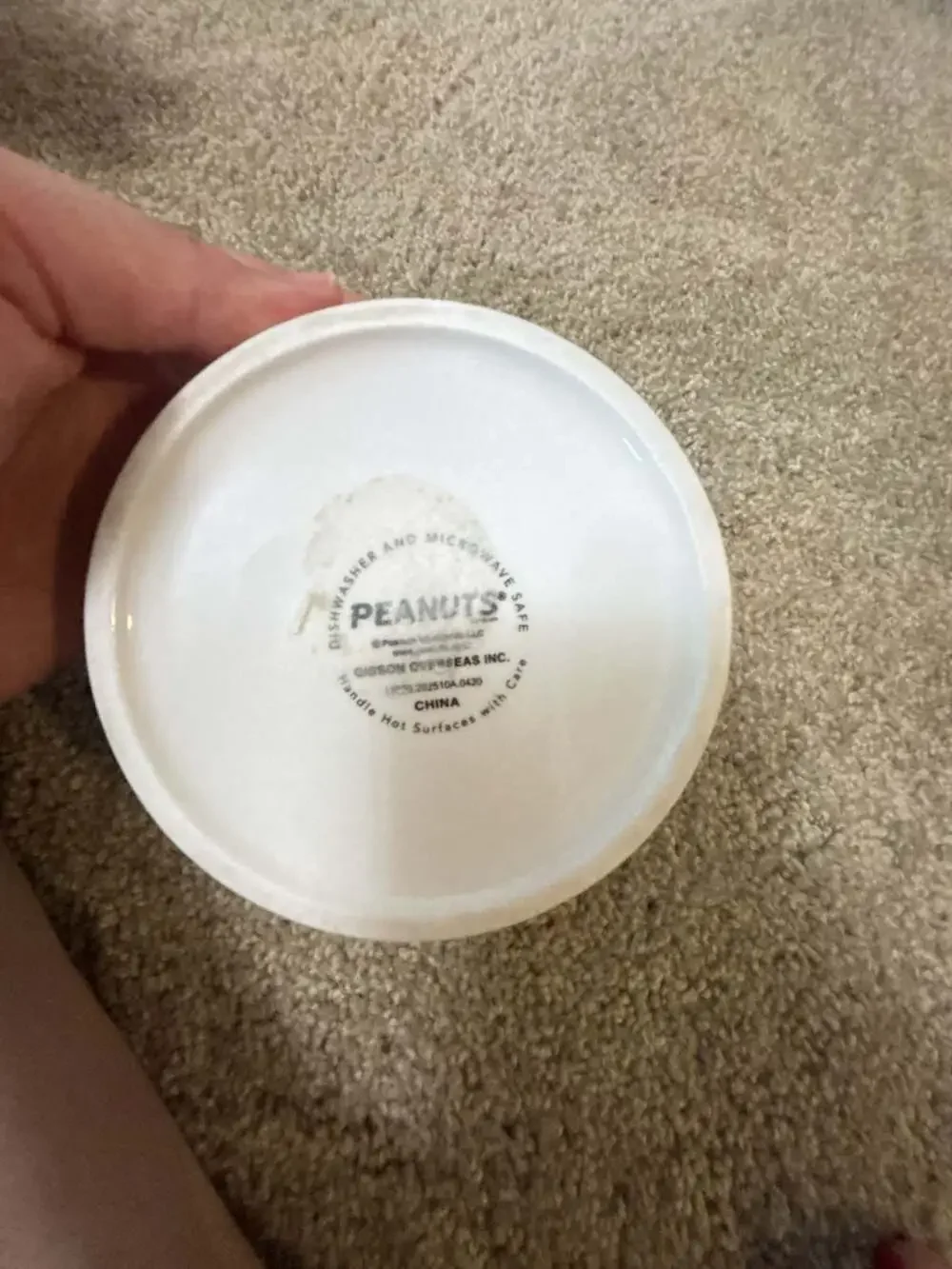 Peanuts Snoopy 'Suppertime' Ceramic Pet Food/Water Bowl by Gibson Overseas